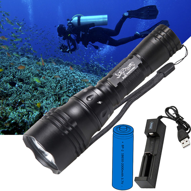 Fish Finder Charger - 다이빙 램프 휴대용 10W T6 L2
